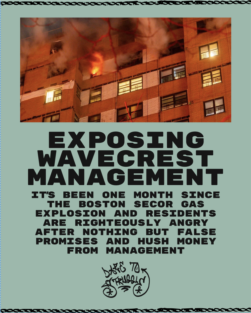 EXPOSING WAVECREST MANAGEMENT – Dare to Struggle