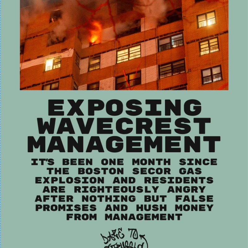 EXPOSING WAVECREST MANAGEMENT