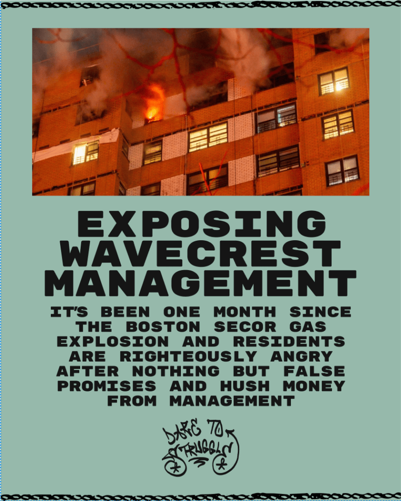 EXPOSING WAVECREST MANAGEMENT