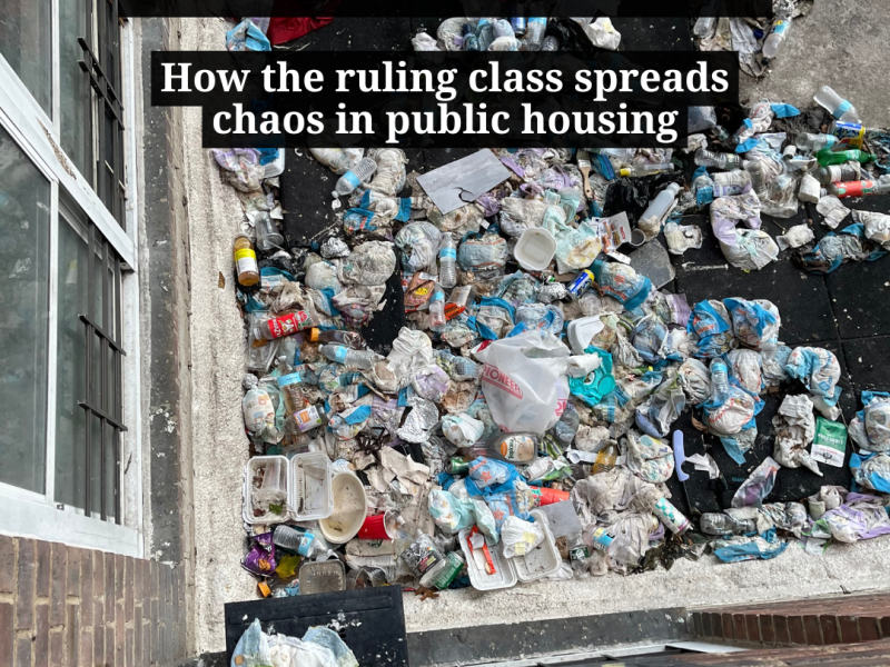 Crabs in a Bucket: How the ruling class spreads chaos in public&nbsp;housing