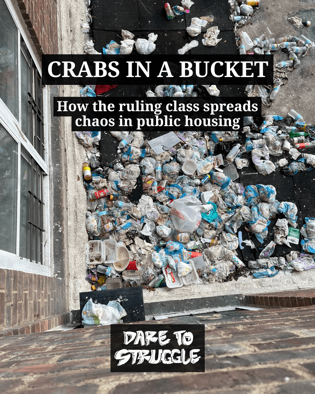 Crabs in a Bucket: How the ruling class spreads chaos in public&nbsp;housing